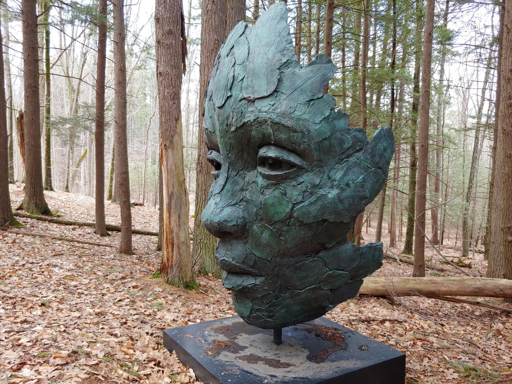 'Colossal Fragment'